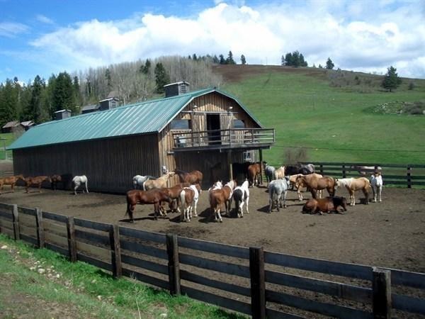 Bull Hill Guest Ranch Hotell Marble Eksteriør bilde